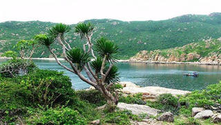 Yên Bái – Tết rừng giữa đại ngàn