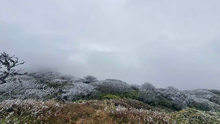 Băng tuyết phủ trắng trên đỉnh Phja Oắc - Cao Bằng