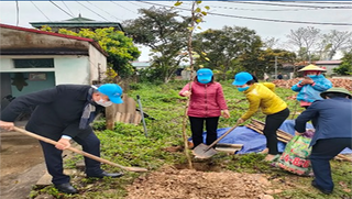 Hội Liên hiệp Phụ nữ tỉnh Điện Biên phát động trồng hơn 2.000 cây hoa ban