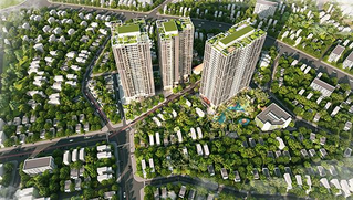 Feliz Homes ra mắt “Giỏ hàng” những tầng đẹp nhất tòa Fantasy Tower