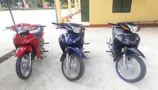 Sơn La: Bắt giữ nhiều vụ vận chuyển xe máy, gia súc qua biên giới