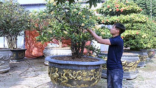Vĩnh Phúc gắn kết làng nghề với du lịch tạo đà phát triển kinh tế