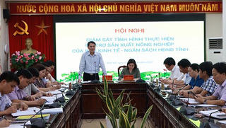Bắc Ninh tổ chức Hội nghị về tình hình triển khai thực hiện chính sách hỗ trợ phát triển sản xuất nông nghiệp