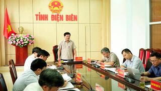 Điện Biên gỡ khó cho loạt dự án trồng cây mắc ca trên địa bàn