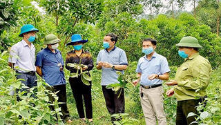 Tuyên Quang quan tâm phát triển toàn diện tiềm lực khoa học và công nghệ