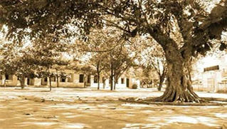 Người thầy trong xã hội xưa và nay