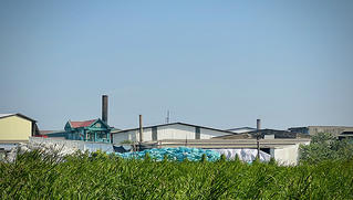 Nhiều chuyển biến tích cực trong giảm thiểu ô nhiễm môi trường trên địa bàn Phong Khê