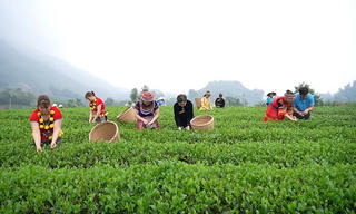 Đại Từ (Thái Nguyên) quyết tâm, chung sức xây dựng huyện Nông thôn mới