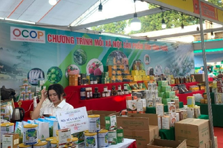 Vĩnh Phúc thúc đẩy xúc tiến thương mại, hỗ trợ doanh nghiệp nắm bắt cơ hội để phát triển bền vững