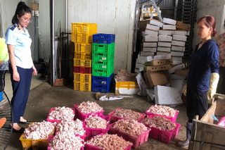 Tuyên Quang quyết liệt chống buôn lậu, gian lận thương mại tạo môi trường kinh doanh lành mạnh