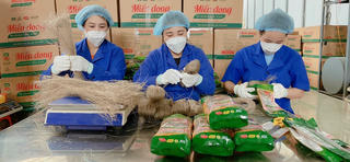 Làng miến Côn Minh nhộn nhịp vào mùa để 'hút' khách dịp Tết Nguyên đán