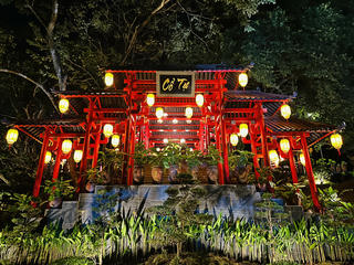 Chùa Cây Thị ngôi chùa cổ linh thiêng, không gian yên bình 