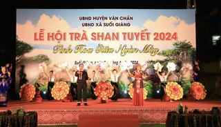Suối Giàng (Yên Bái): Hành trình tinh hoa Trà Shan Tuyết 2024 - Đậm đà bản sắc tỉnh Yên Bái