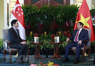 Bản tin tối 10/02: Việt Nam-Singapore đạt nhiều thỏa thuận hợp tác quan trọng