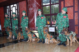 Bản tin sáng 13/02: Quân đội nhân dân Việt Nam tập kết 35 tấn hàng sang hỗ trợ Thổ Nhĩ Kỳ sau động đất