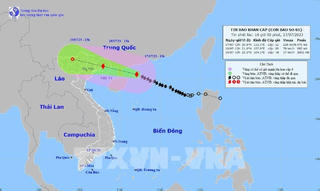 Bản tin sáng 18/7: Triển khai công tác y tế ứng phó với bão số 1