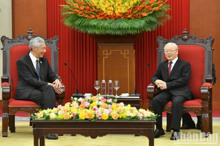 Bản tin sáng 29/8: Tổng Bí thư Nguyễn Phú Trọng tiếp Thủ tướng Singapore Lý Hiển Long