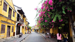 Hội An xin hỗ trợ gạo cho gần 5.000 hộ dân có nguy cơ thiếu đói trong dịp Tết