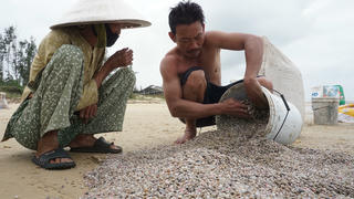 Ngư dân Quảng Nam lội ngược sóng thu "lộc biển"