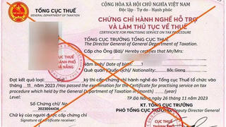 Đà Nẵng cảnh báo giả chứng chỉ hành nghề làm thủ tục về thuế