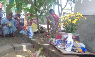 Huế: Người dân vái lạy, cúng tiền cho cây chuối trổ...6 bắp