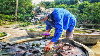 Khởi nghiệp thành công nhờ mô hình “bắt” cát biển nở hoa