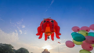 Lễ hội khinh khí cầu quốc tế 2019