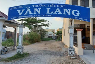Hiệu trưởng trường Tiểu học treo cổ tự tử
