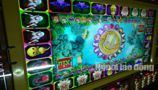 Ai chịu trách nhiệm trong vụ máy casino được cấp “nhầm” vào cơ sở chơi game ở Bạc Liêu? 