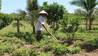 Nhịp sống mới ở bản Mường dưới chân núi Bạch Mã