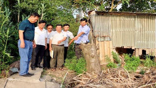 Sạt lở bờ sông, nhiều hộ dân An Giang phải di dời khẩn cấp