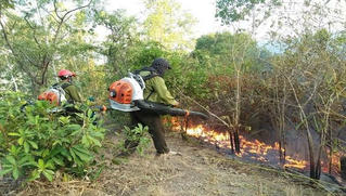 Chi cục Kiểm lâm Vùng IV: Nhiều chuyển biến tích cực trong công tác bảo vệ và phát triển rừng