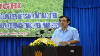 Bạc Liêu: Chính quyền phải hỗ trợ doanh nghiệp, người dân trong liên kết sản xuất lúa gạo 