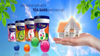 Sơn Rego: “Tỏa sáng ngôi nhà Việt”