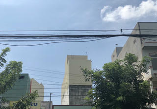 Bạc Liêu sắp ban hành quy định về nghề dẫn dụ, gây nuôi chim yến