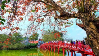 Hà Nội phố - tình yêu và nỗi nhớ 