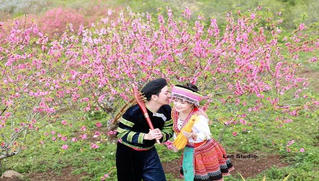 Đã buộc chỉ cổ tay rồi, sao đành để mất nhau?