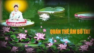 Hoa sen và thuyết luân hồi của Phật giáo