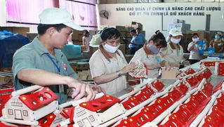 Gỗ Đức Thành – Thương hiệu Việt và định hướng phát triển bền vững