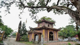Chiêm bái bảo pháp Cửu phẩm Liên hoa chùa Động Ngọ