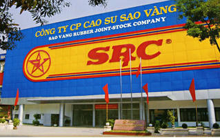 Cao su Sao Vàng loay hoay trong ánh hào quang