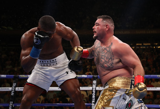 Vì sao Anthony Joshua gục ngã trước gã béo Andy Ruiz?