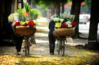 Nghĩ về những dấu chân...