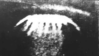 UFO từng rượt đuổi máy bay siêu thanh MiG của Liên Xô?
