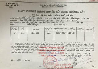 Tiếp vụ tranh chấp đất tại xã Tân Lập, Đan Phượng (Hà Nội): Nguyên đơn cũng kháng cáo, giữ nguyên yêu cầu khởi kiện