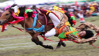 Huyền thoại Trà Mã cổ đạo - (Kỳ 4):  Vân Nam có trà, Tây Tạng có ngựa