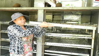 Thuốc quý quanh ta – (Kỳ cuối): Lắng nghe cơ thể để nhận biết bệnh sớm giúp điều trị kịp thời