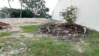Vụ đường đi “trên giấy” ở Bình Định:  Tòa án tuyên án trái ngược với tài liệu của cơ quan quản lý đất đai