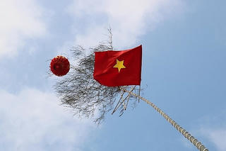 Ý nghĩa và bí quyết chọn cây nêu của người Việt mỗi dịp Tết Xuân về