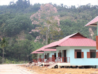 Sức sống mới trên vùng sạt lở Trà Leng